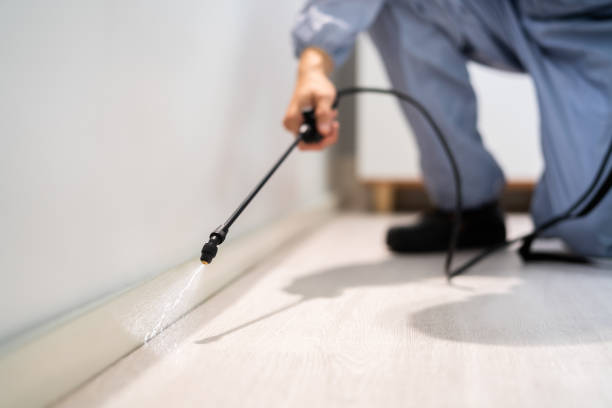 Licensed Fumigation Services service in Port Charlotte, FL - Nex Pest Control