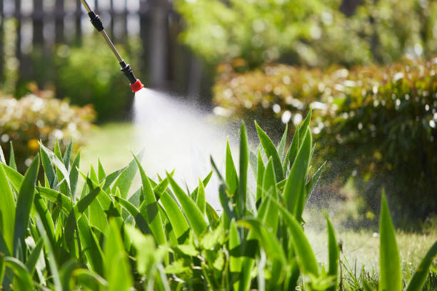 24/7 Emergency Fumigation Services experts in Port Charlotte, FL