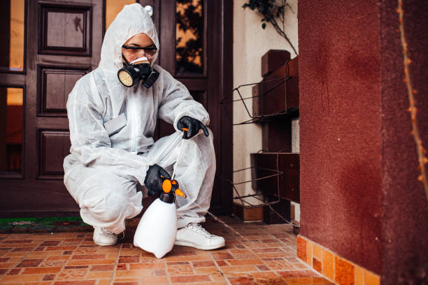 Reliable Fumigation Services contractor in Port Charlotte, FL by Nex Pest Control